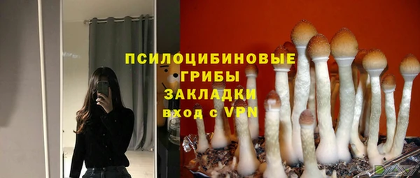 PSILOCYBIN Белоозёрский