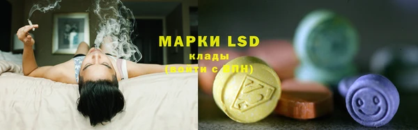 PSILOCYBIN Белоозёрский